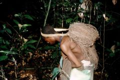 hunting-with-pygmee