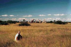 serengeti